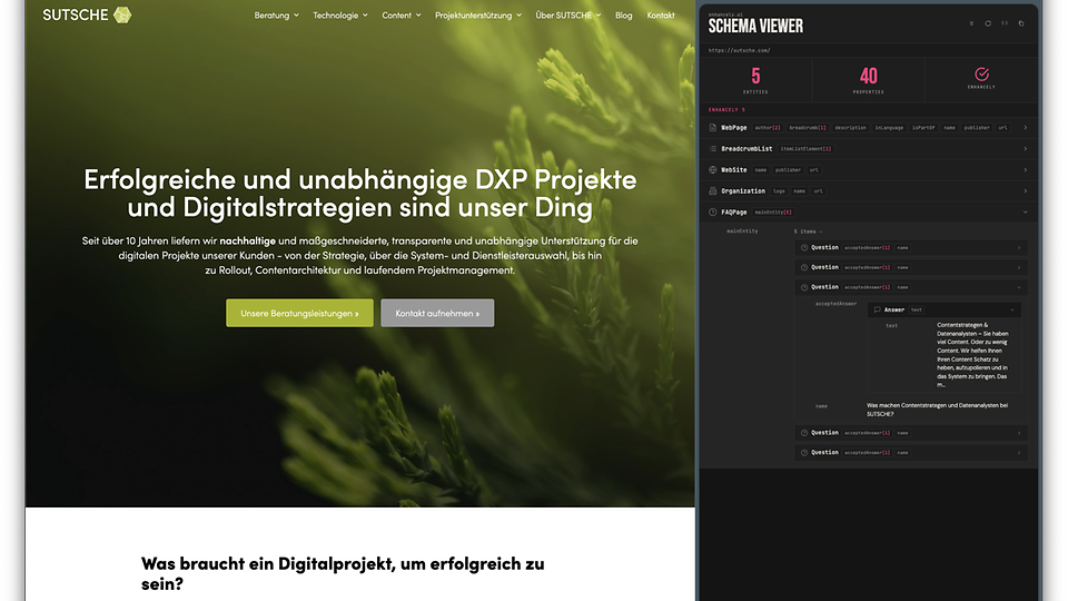 img Beispiel-Website und Schema-Viewer