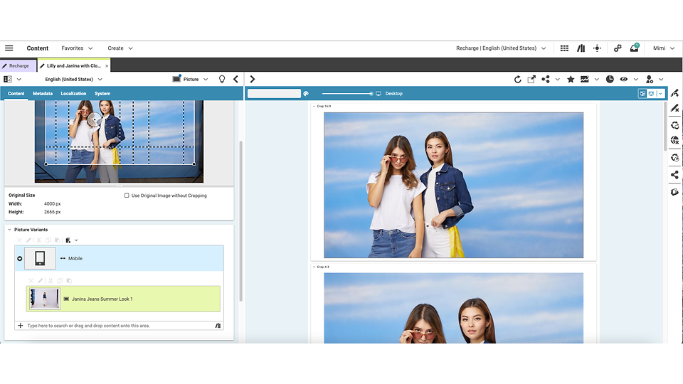 Defining Picture Variants