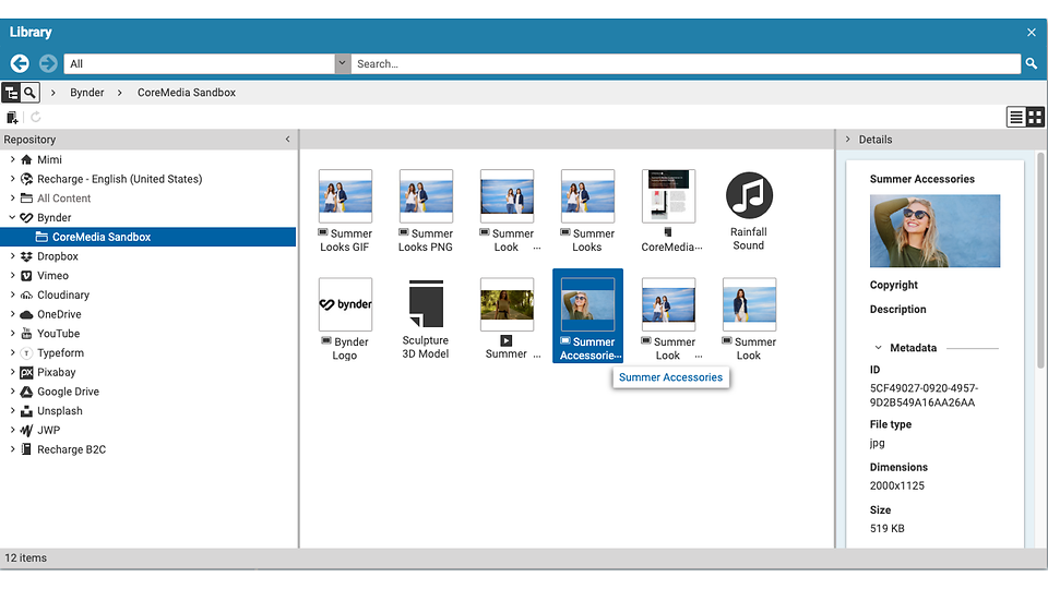 Bynder Integration Screenshot